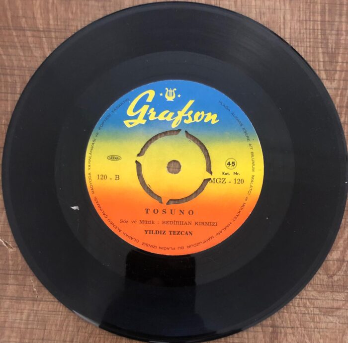 Yıldız Tezcan Tosuno Şahin İdim - Görsel 2