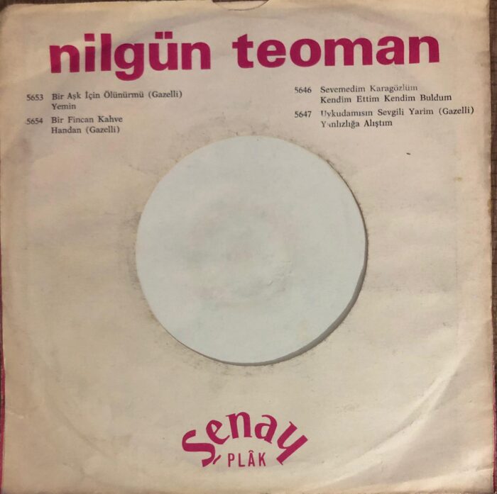 Nilgün Teoman Demedimmi Madimak - Görsel 2