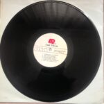 Ümit Tokcan - Vay Dünya Vay Plak - Görsel 2