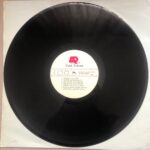 Ümit Tokcan - Vay Dünya Vay Plak - Görsel 3