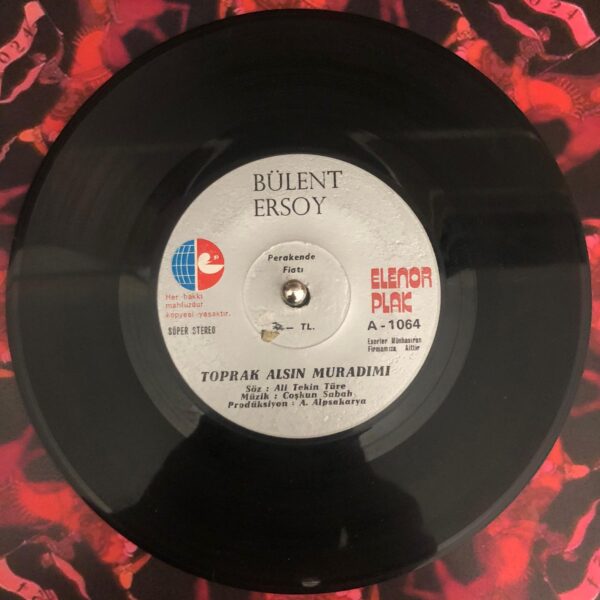 Bülent Ersoy, Yalnızlığa Alıştım, Toprak Alsın Muradımı, 45 lik plak - Görsel 2