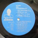 Roynes Med Skäggmanslaget – Livat På Logen - Görsel 4