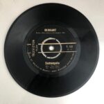 Berkant, Samanyolu, Özledim Seni Plak - Görsel 3