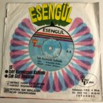 ESENGÜL Taht Kurmuşsun Kalbimde, Çok Geç Olmadan 45 lik Plak - Görsel 2