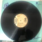 Biricik - Gurbet Kuşları Dönem Baskı LP - Görsel 6