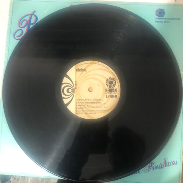 Biricik - Gurbet Kuşları Dönem Baskı LP - Görsel 6