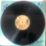 Biricik - Gurbet Kuşları Dönem Baskı LP - Görsel 4