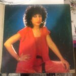 Biricik - Gurbet Kuşları Dönem Baskı LP - Görsel 3