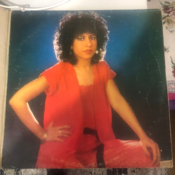 Biricik - Gurbet Kuşları Dönem Baskı LP - Görsel 3