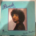 Biricik - Gurbet Kuşları Dönem Baskı LP - Görsel 2