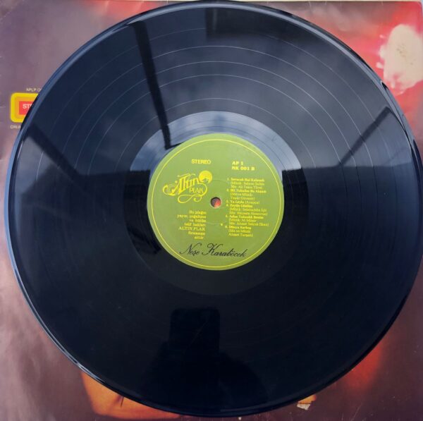 Neşe Karaböcek – Canım Dinleyicilerim 1981 Dönem Baskı Lp - Görsel 4