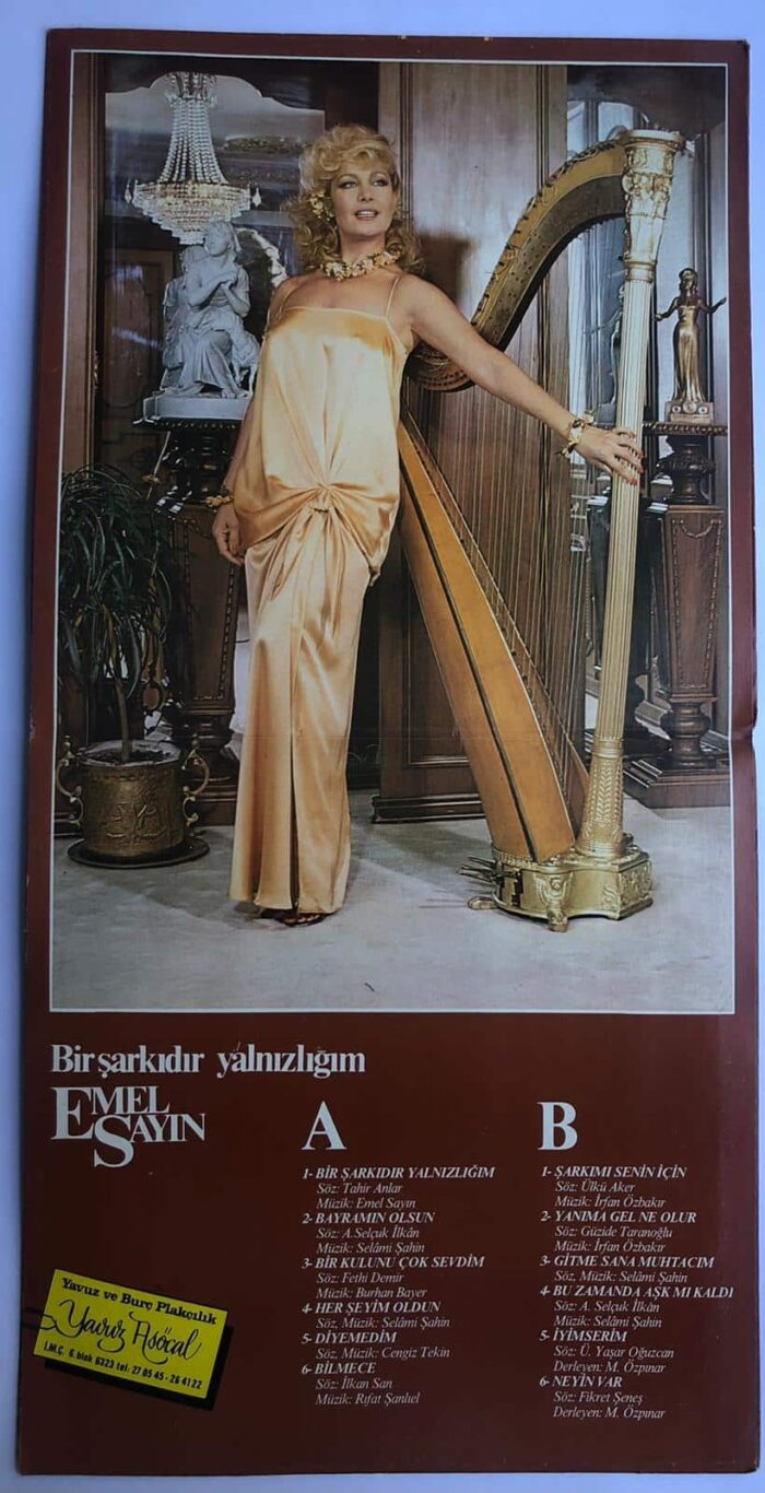 Emel Sayın – Bir Şarkıdır Yalnızlığım Lp Dönem Baskı - Görsel 3
