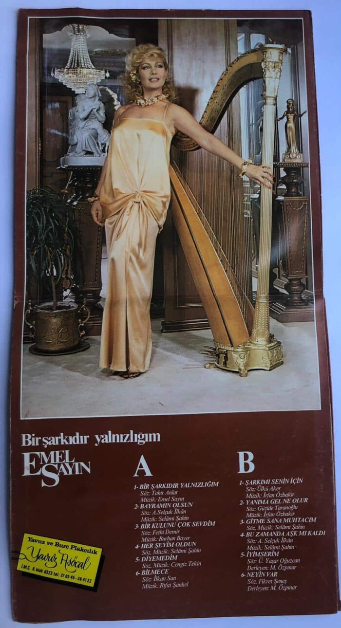 Emel Sayın – Bir Şarkıdır Yalnızlığım Lp ( Sadece Kapak ) - Görsel 2