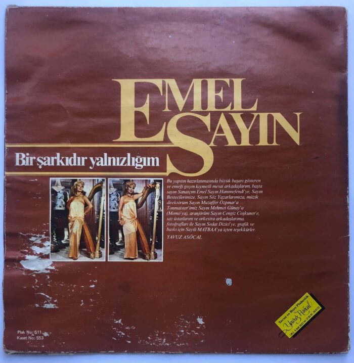 Emel Sayın – Bir Şarkıdır Yalnızlığım Lp ( Sadece Kapak ) - Görsel 3