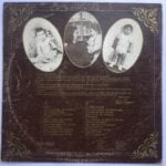 Ferdi Özbeğen – Seviyorum Delicesine Lp (Sadece Kapak ) - Görsel 2