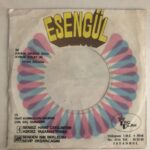 ESENGÜL Taht Kurmuşsun Kalbimde, Çok Geç Olmadan 45 lik Plak - Görsel 2