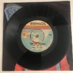 ESENGÜL Taht Kurmuşsun Kalbimde, Çok Geç Olmadan 45 lik Plak - Görsel 3