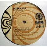 Sezen Aksu - Sevgilerimle 1980 Lp Plak - Görsel 3