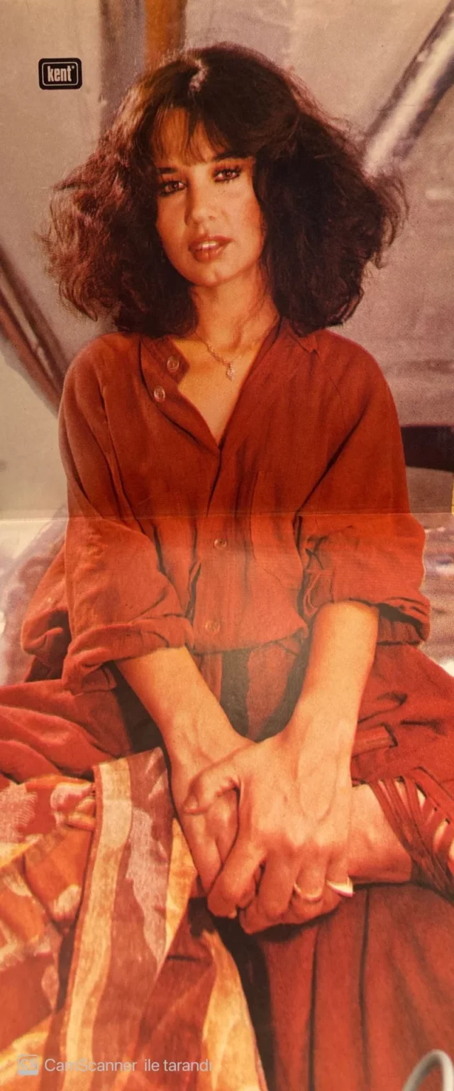 Sezen Aksu Serçe 1978 Lp Plak - Görsel 3