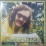 Cem Karaca Resimdeki Gözyaşları Lp Plak