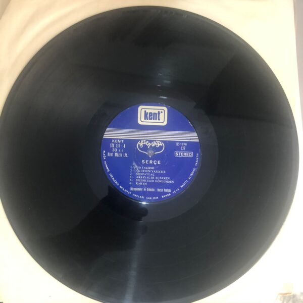 Sezen Aksu – Serçe Dönem Baskı Lp Plak - Görsel 7