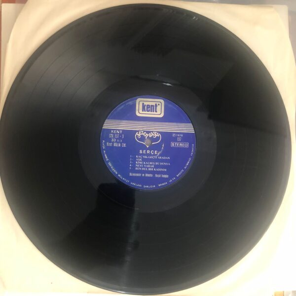 Sezen Aksu – Serçe Dönem Baskı Lp Plak - Görsel 8