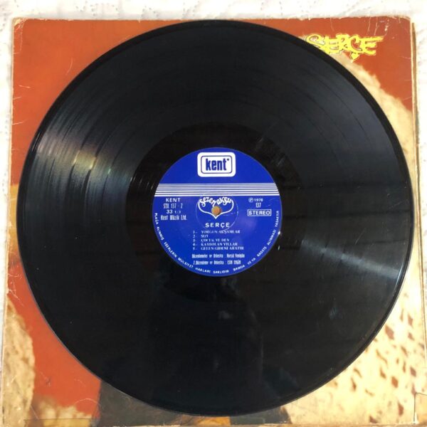 Sezen Aksu – Serçe Dönem Baskı Lp Plak - Görsel 6