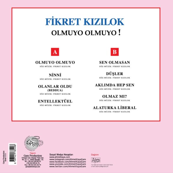 Fikret Kızılok Olmuyo Olmuyo Lp Plak - Görsel 2