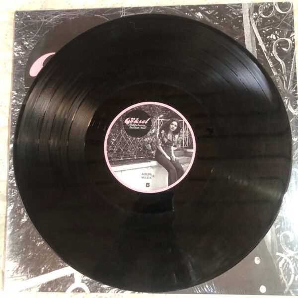 Göksel Mektubumu Buldun Mu Lp Plak - Görsel 2