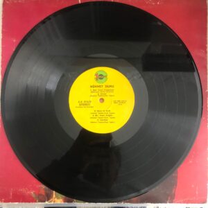 Nükhet Duru Melankoli Dönem Baskı Lp Plak - Görsel 7