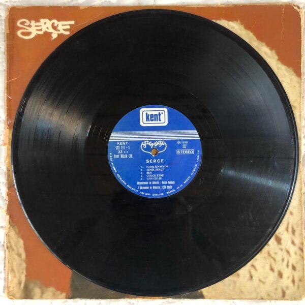 Sezen Aksu Serçe Dönem Baskı 2 x Lp Plak - Görsel 8