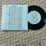 Kişiye Özel 33 lük Plak Doldurma - Görsel 3