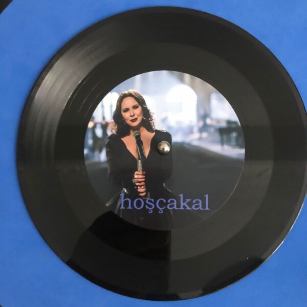 Şebnem Ferah Silbaştan Hoşcakal Plak - Görsel 2