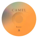 Camel Rajaz Plak - Görsel 2