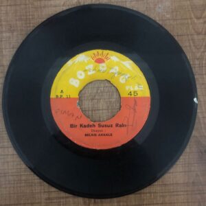 Belkıs Akkale Bir Kadeh Susuz Rakı - Ağarmış Saçlarım - Görsel 2