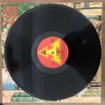 The Unforgetables  Unutulmayanlar Dizisi: 9 Lp PLak - Görsel 5