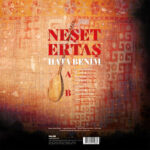 Neşet Ertaş Hata Benim Lp Plak - Görsel 2