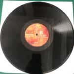 Neşet Ertaş Hata Benim Lp Plak - Görsel 4