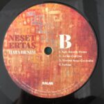 Neşet Ertaş Hata Benim Lp Plak - Görsel 6