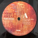 Neşet Ertaş Hata Benim Lp Plak - Görsel 7