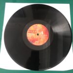 Neşet Ertaş Hata Benim Lp Plak - Görsel 5