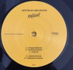 Büyük Ev Ablukada Fırtınayt Plak - Görsel 9