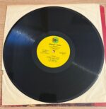 Nükhet Duru Melankoli Dönem Baskı Lp Plak - Görsel 6