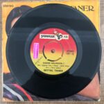 Seyyal Taner Sorma Neydi O Neden Gelmedin Plak - Görsel 2