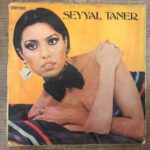 Seyyal Taner Sorma Neydi O Neden Gelmedin Plak - Görsel 5