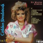 Gülden Karaböcek Bir Mucize Allahım Lp Plak - Görsel 3