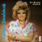 Gülden Karaböcek Bir Mucize Allahım Lp Plak - Görsel 4