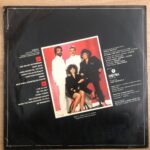 Beş Yıl Önce On Yıl Sonra Ekstra Lp Plak - Görsel 4