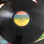 Arabesk Şöleni Plak - Görsel 4