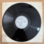 Dean Martin – I Have But One Heart Plak Lp - Görsel 5